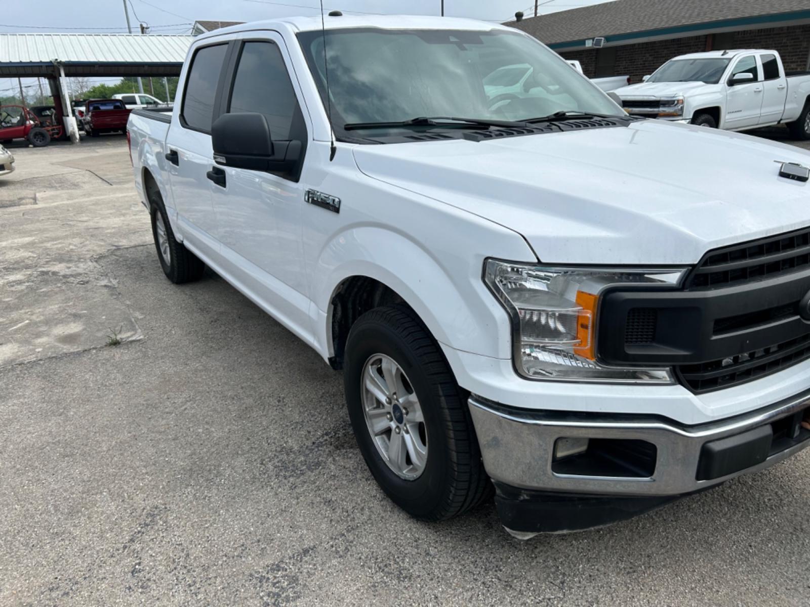2019 White Ford F-150 (1FTEW1C55KK) with an 5.0L V8 F DOHC 32V engine, Automatic transmission, located at 1687 Business 35 S, New Braunfels, TX, 78130, (830) 625-7159, 29.655487, -98.051491 - Photo #1